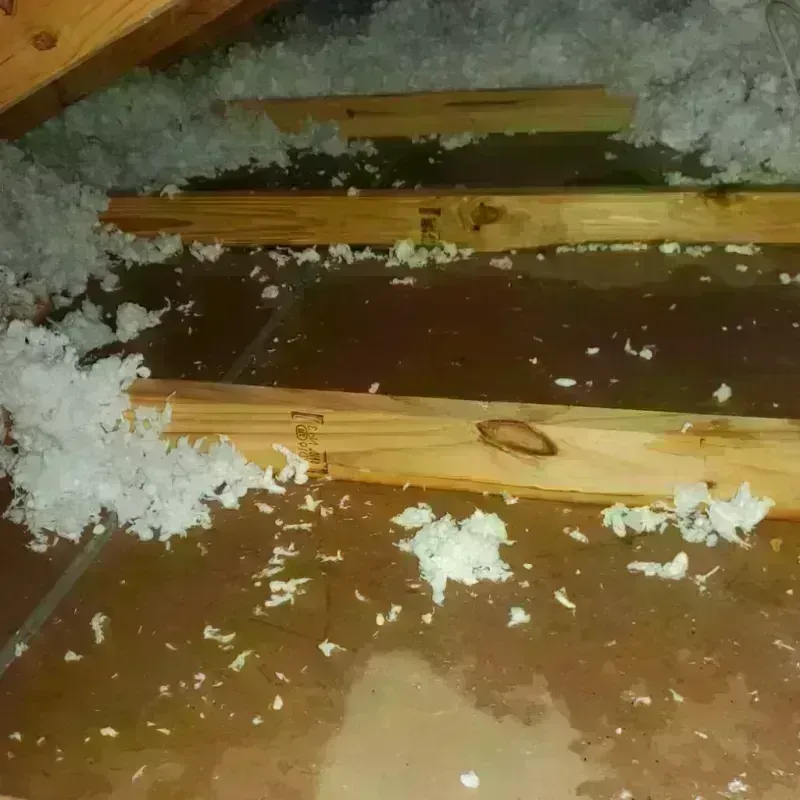 Attic Water Damage in Bunnell, FL