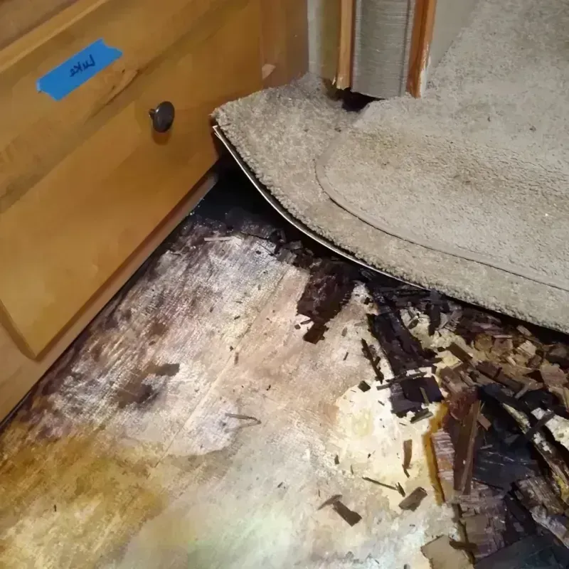 Best Wood Floor Water Damage Service in Bunnell, FL